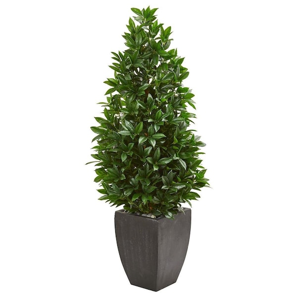 Dare2Decor 56 in. Bay Leaf Cone Topiary Artificial Tree in Black Planter DA2623488 - main